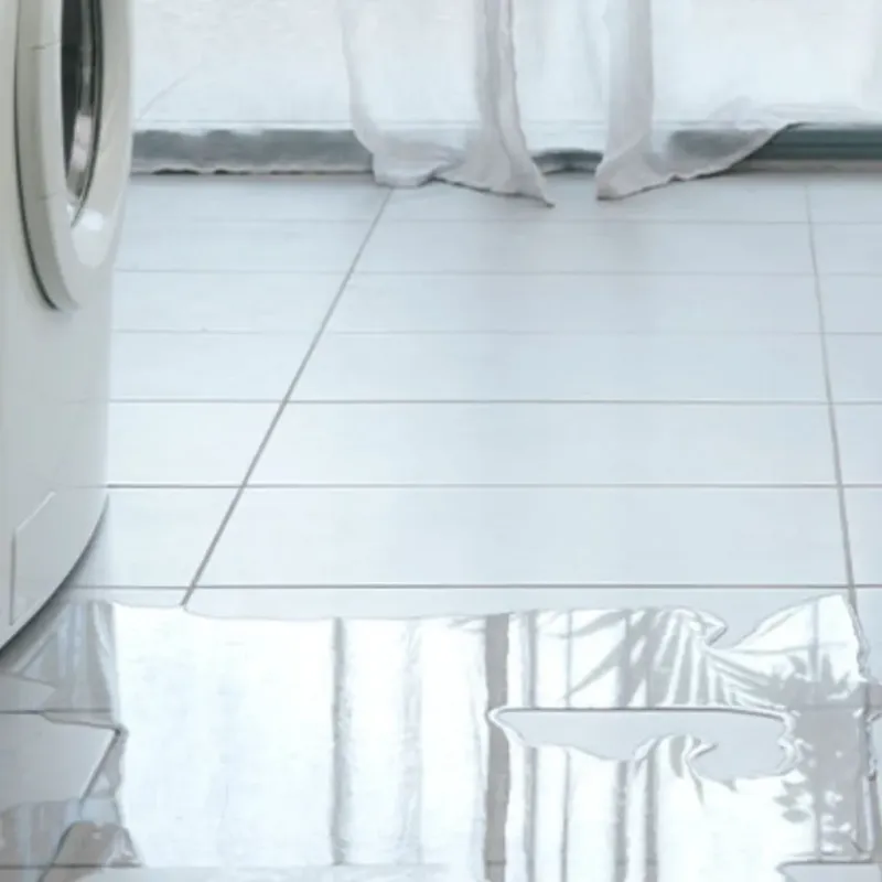 Appliance Leak Cleanup in Alma, WI