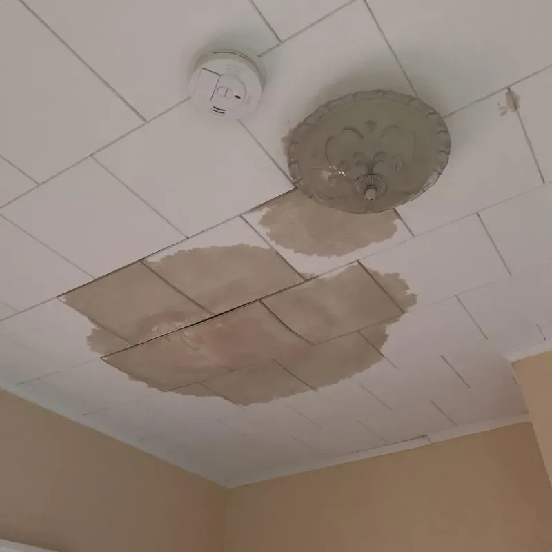 Ceiling Water Damage Repair in Alma, WI