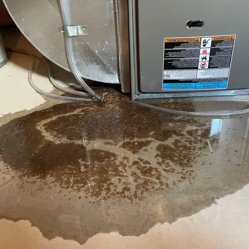 Pipe Burst and Leak Restoration in Alma, WI