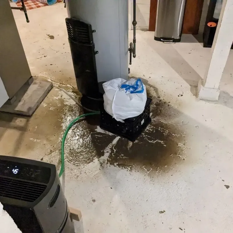 Sewage Backup Cleanup Service in Alma, WI
